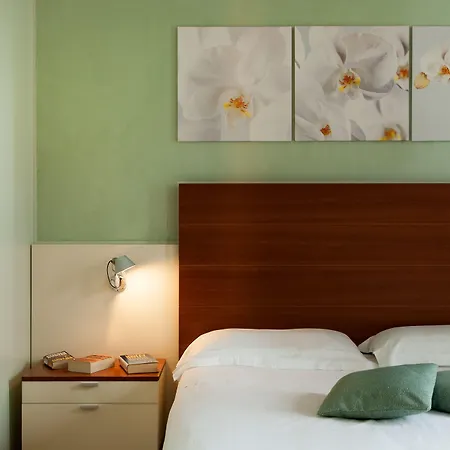 Leonardo Da Vinci Erba